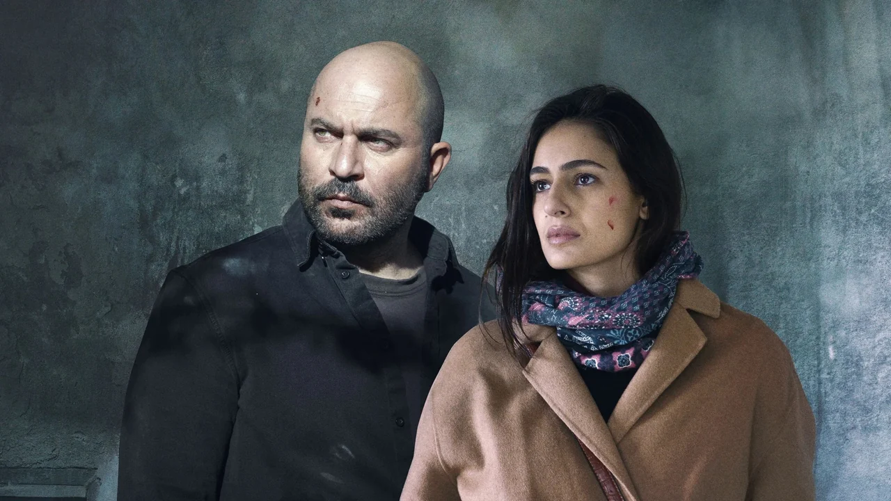 Сериал Фауда (1-4 сезон)