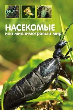 Сериал Насекомые, или Миллиметровый мир (1 сезон)